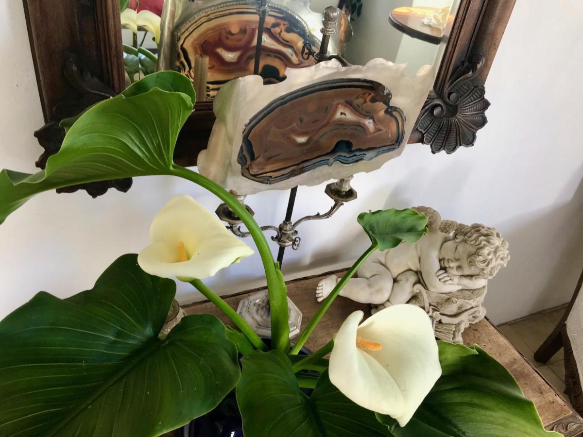 Juderia Luxury Suite Casas Vejer Debra ベヘール・デ・ラ・フロンテーラ エクステリア 写真